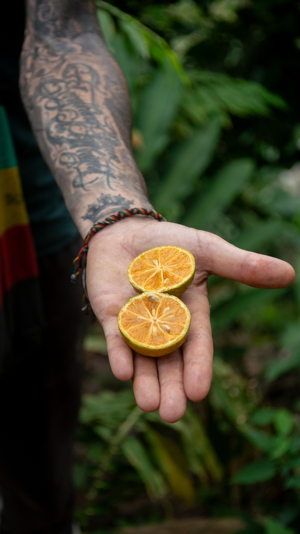 Reportage entreprise La Selvita — Côte d'Azur